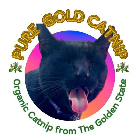 PURE GOLD Catnip Organically Grown & Harvested Pure Californian Catnip 4"x 3" - Picture 2 of 16